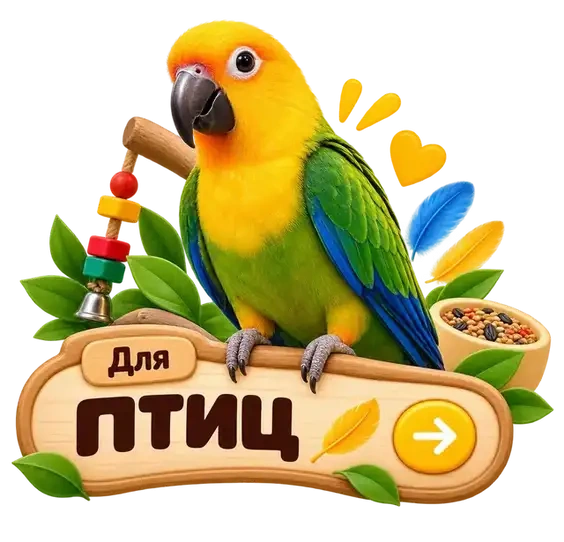 Товары для птиц