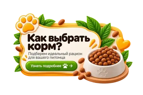 Как выбрать корм