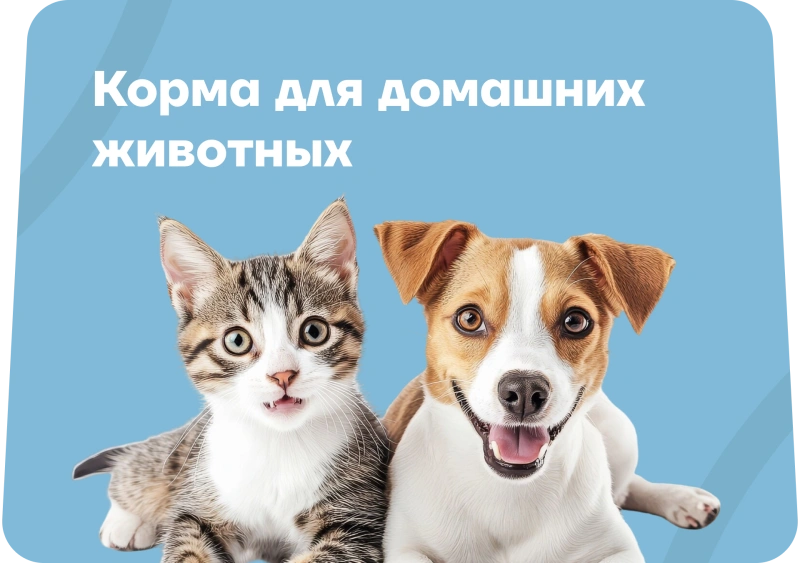 Корма