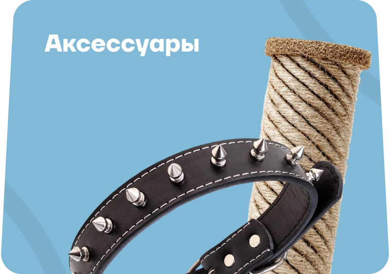 аксес