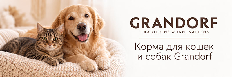 Корма grandorf