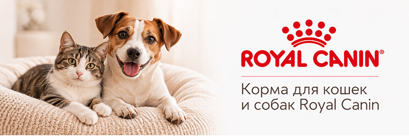 Корма royal