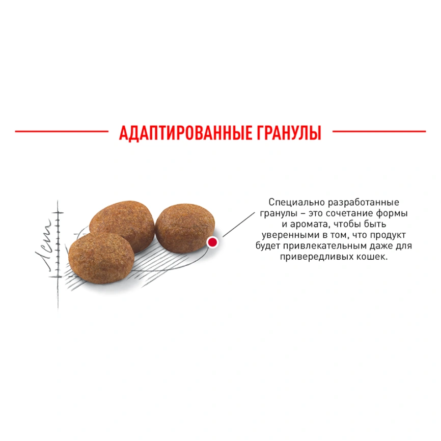 Сухой корм Royal Canin Sterilised для кастрированных котов и стерилизованных кошек, 400 г фото 6