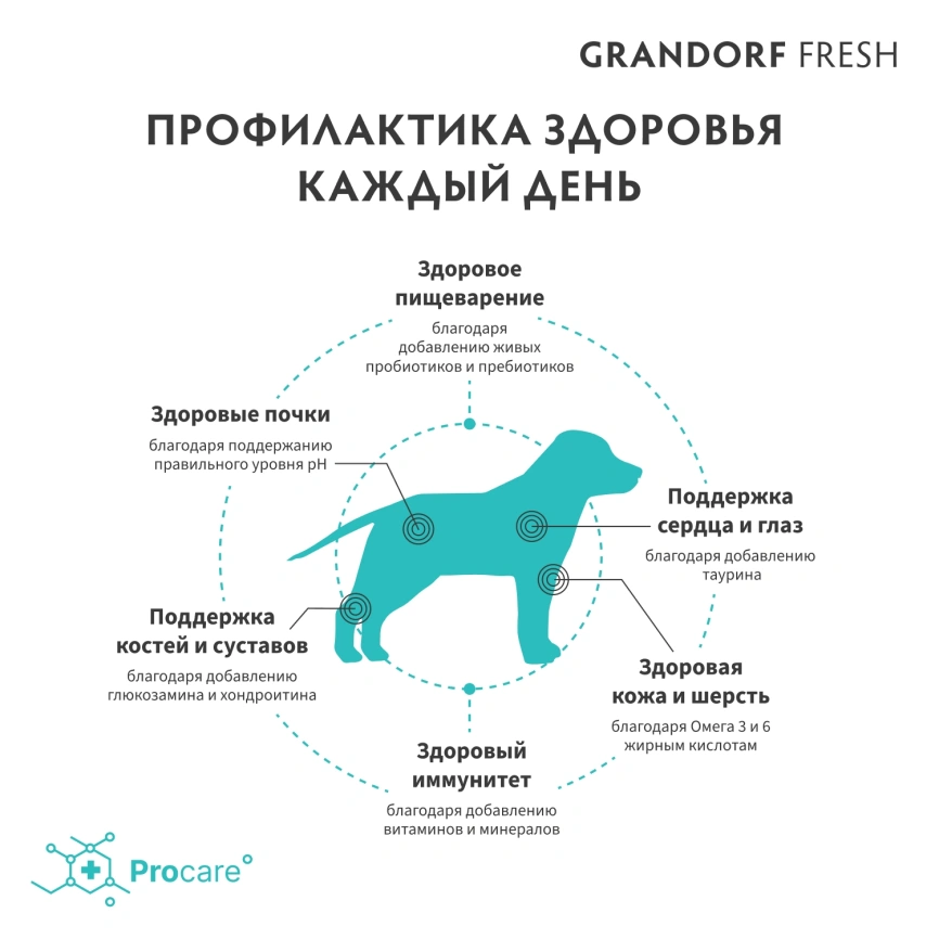 Сухой корм Grandorf Fresh Dog Lamb & Sweet Potato для юниоров средних и крупных пород беременных и кормящих собак беззерновой ягненок, с бататом, 3 кг фото 4