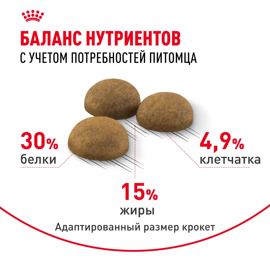 Сухой корм Royal Canin Indoor Long Hair для кошек, 400 г фото 4
