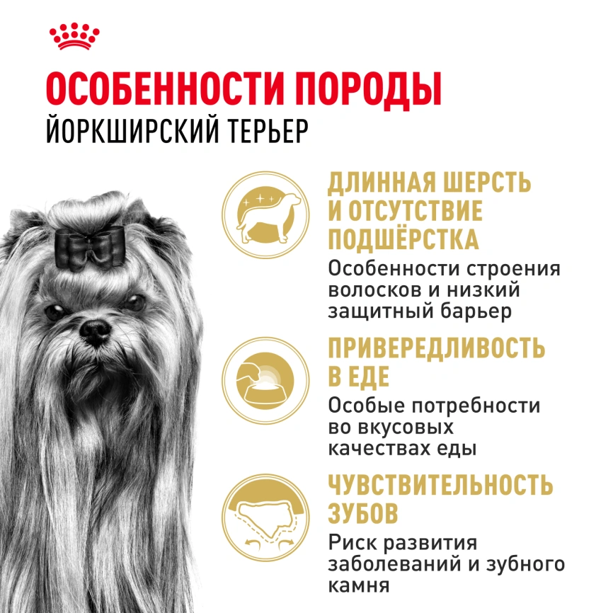 Сухой корм Royal Canin Yorkshire Terrier Adult для взрослых собак, 3 кг фото 2