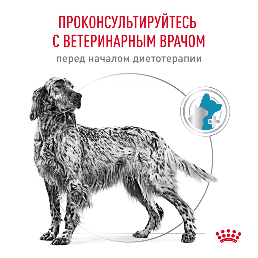 Сухой корм Royal Canin Hypoallergeniс для собак, 14 кг фото 7