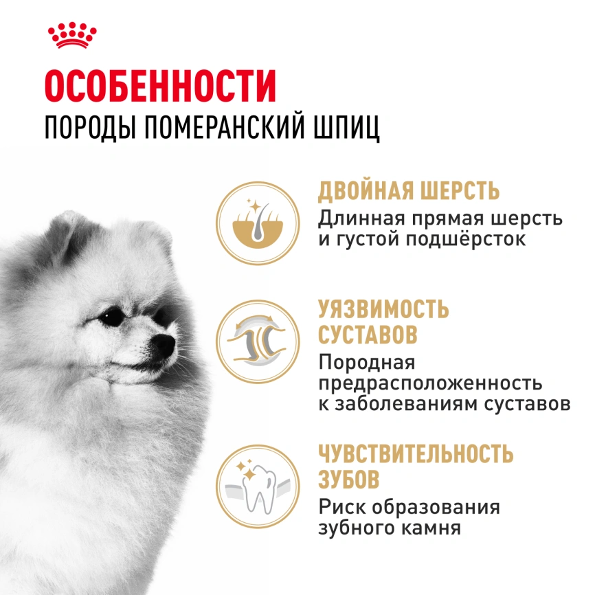 Сухой корм Royal Canin Pomeranian Adult для собак породы померанский шпиц, 1,5 кг фото 2