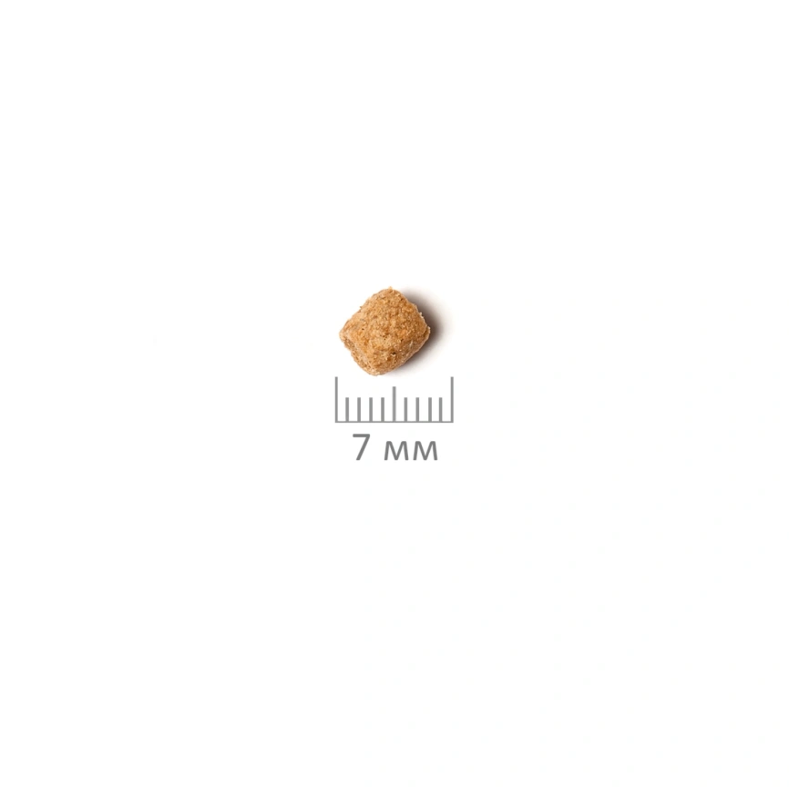 Корм для кошек Probalance 1.8кг Adult Immuno курица-индейка сухой фото 6