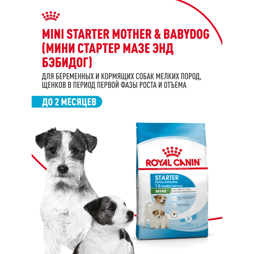 Сухой корм Royal Canin Mini Starter Mother & Babydog для щенков и кормящих сук, 3 кг фото 12