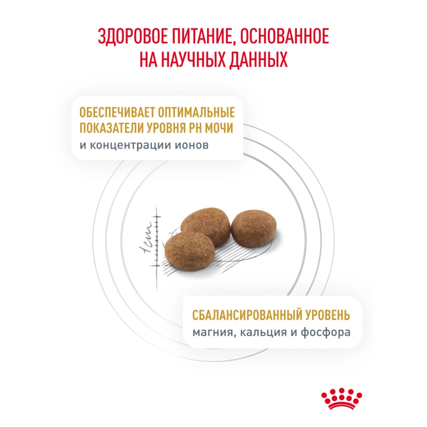 Сухой корм Royal Canin Urinary S/O для кошек при мочекаменной болезни, 350 г фото 22