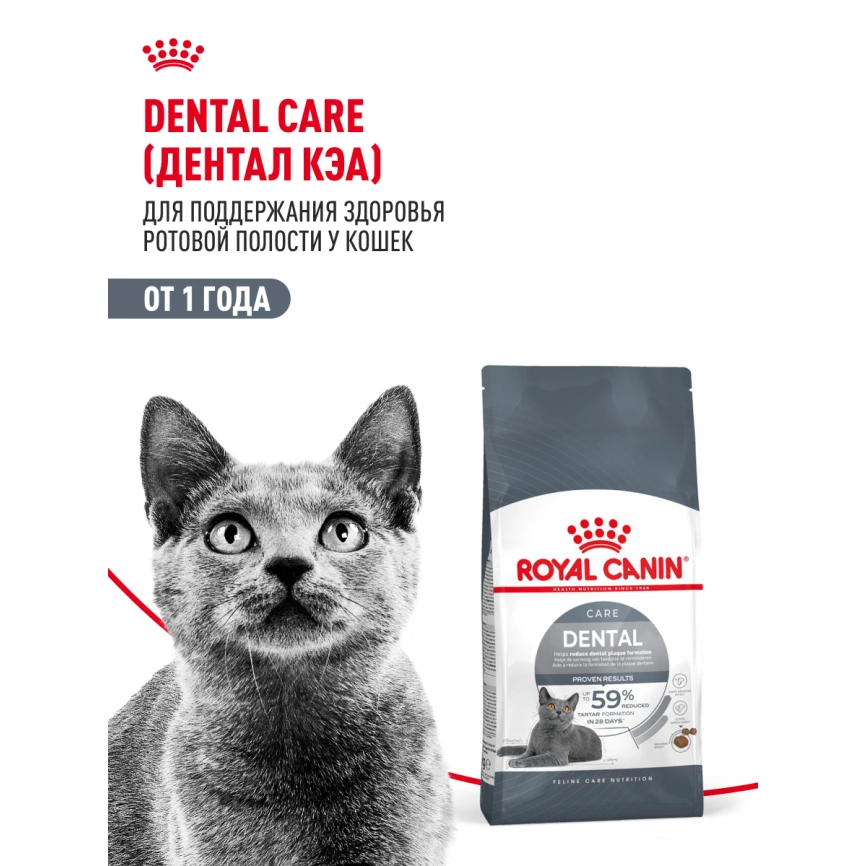 Сухой корм Royal Canin Dental Care для кошек, 1,5 кг фото 13