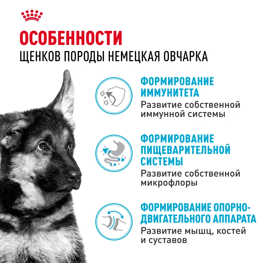 Сухой корм Royal Canin German Shepherd Puppy для щенков, 12 кг фото 2
