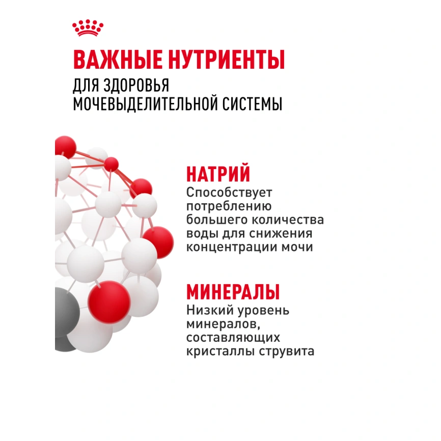 Сухой корм Royal Canin Urinary Care для поддержания здоровья мочевыделительной системы кошек, 4 кг фото 22