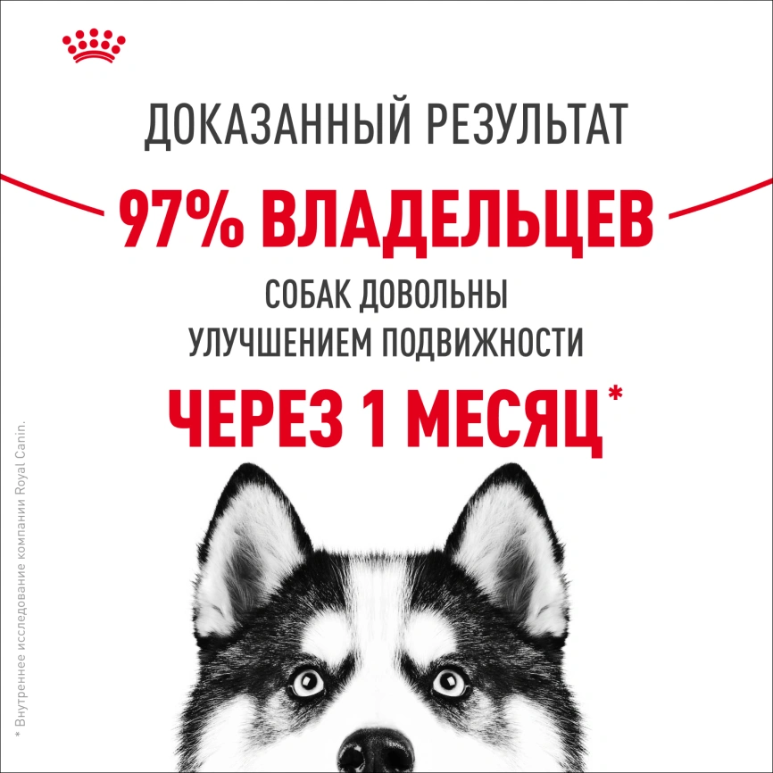 Сухой корм Royal Canin Maxi Joint Care для собак, 10 кг фото 10