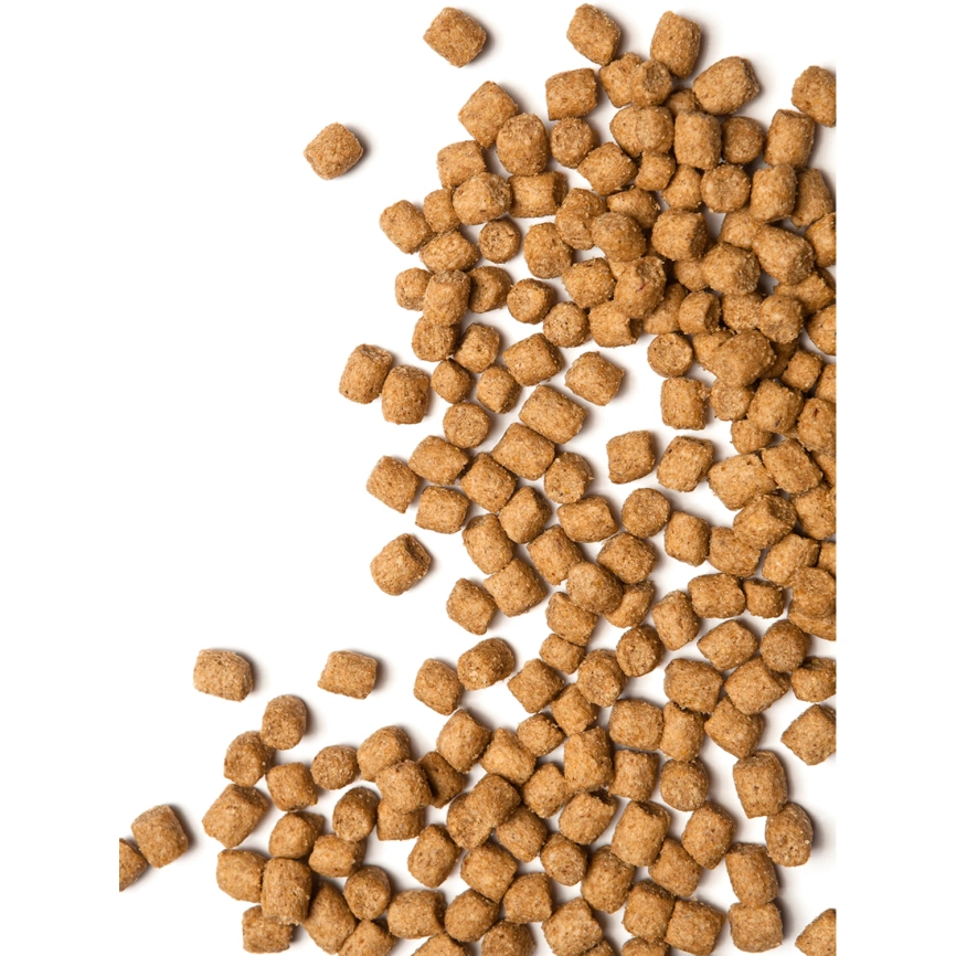 Корм для кошек Probalance 1.8кг Adult Immuno курица-индейка сухой фото 5