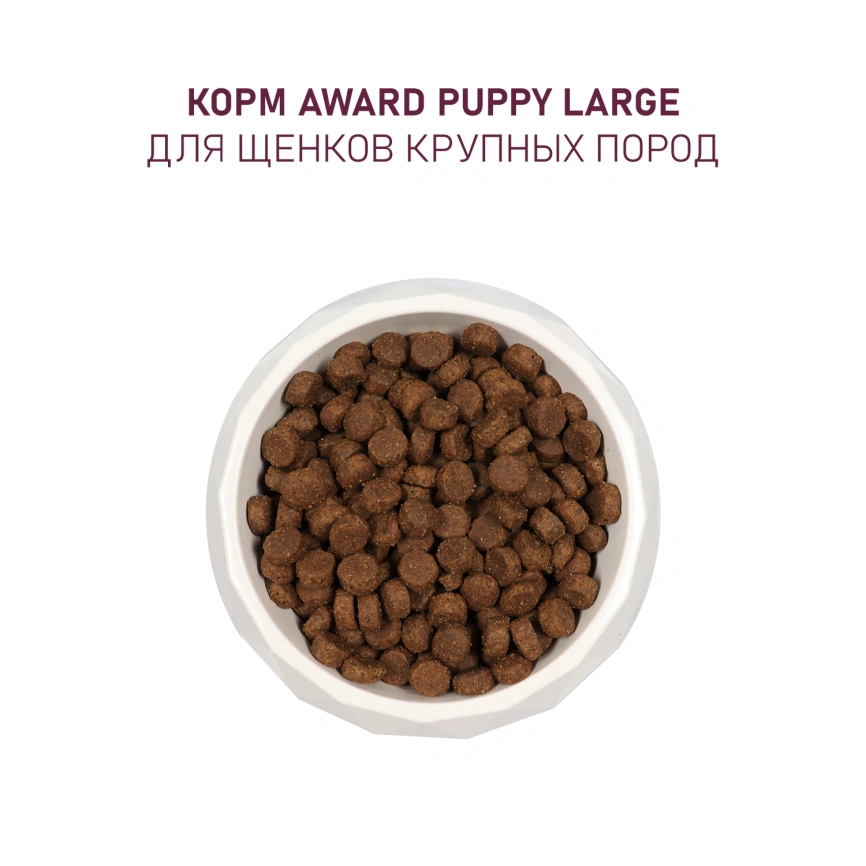 Сухой корм AWARD Turkey & Chicken & Pumpkin для щенков крупных пород с индейкой, курицей и тыквой, 2 кг фото 7