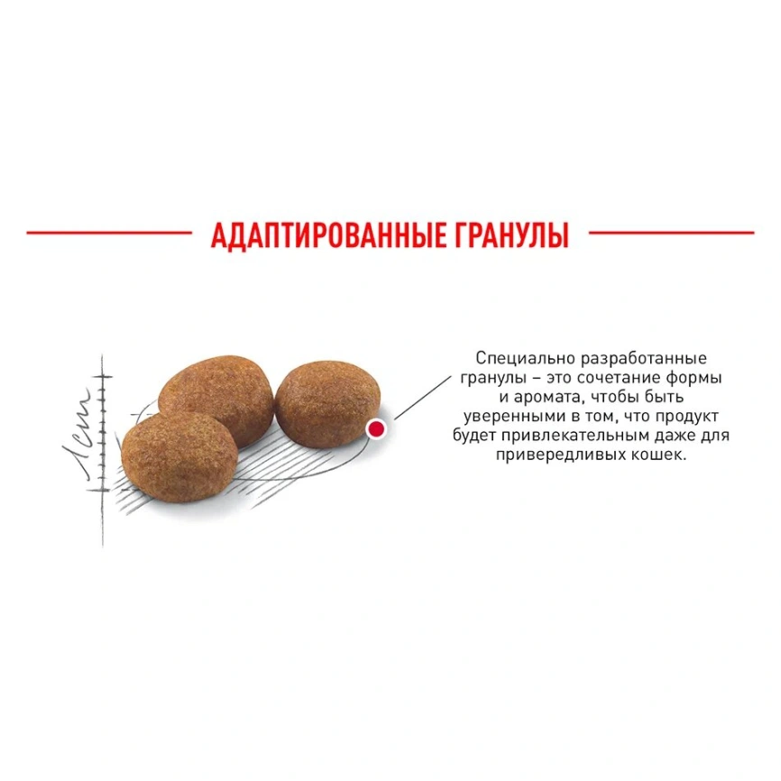Сухой корм Royal Canin Sterilised для кастрированных котов и стерилизованных кошек, 2 кг фото 17