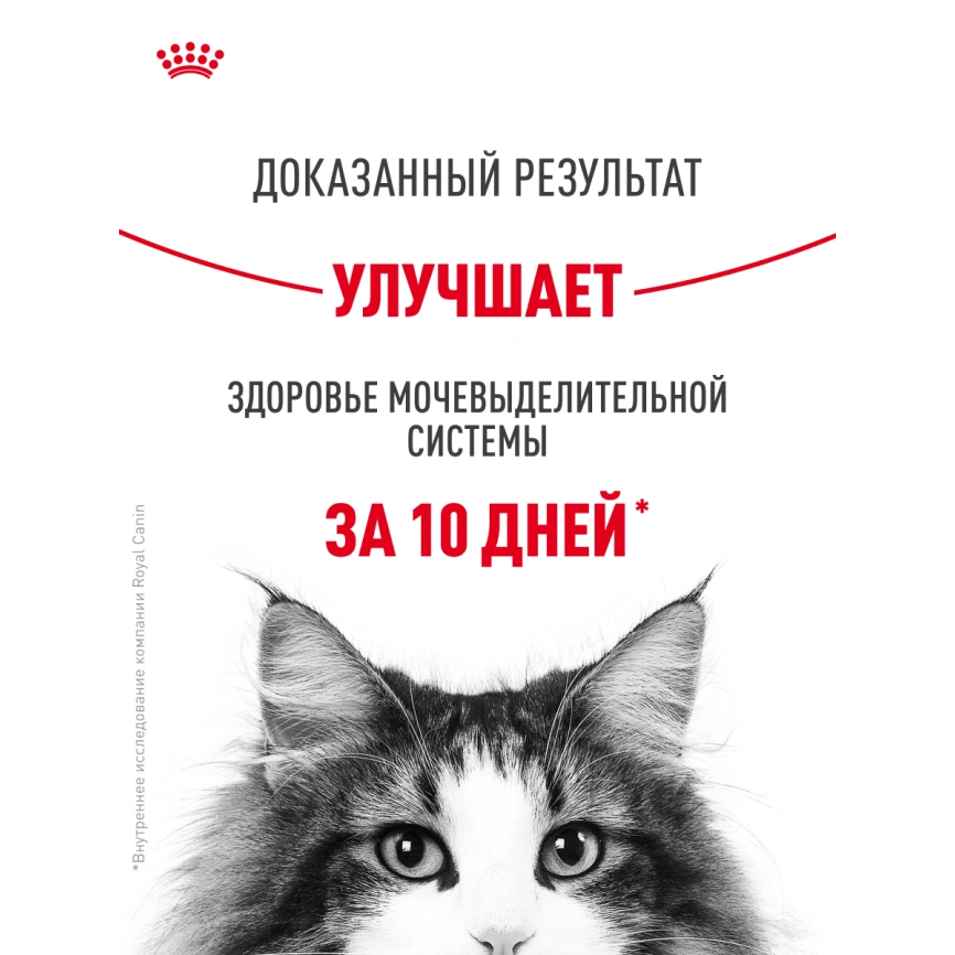 Сухой корм Royal Canin Urinary Care для поддержания здоровья мочевыделительной системы кошек, 4 кг фото 20