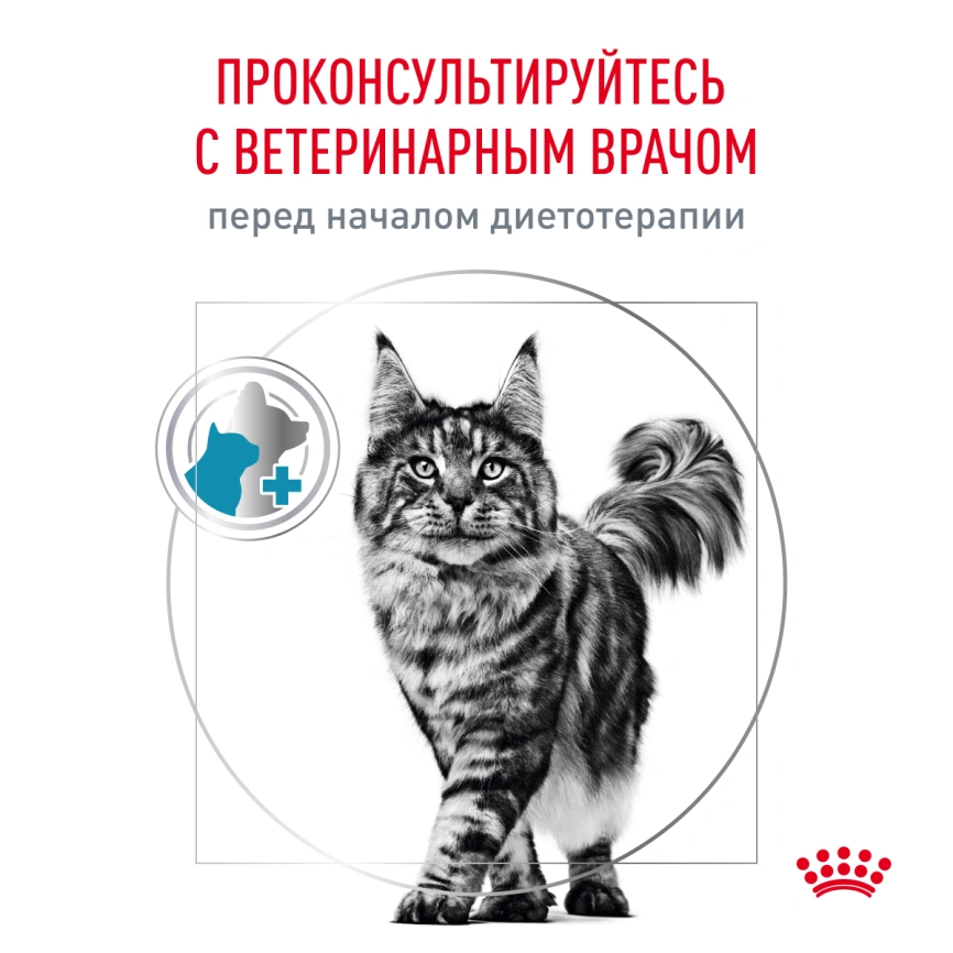 Сухой корм Royal Canin Hypoallergeniс для кошек, 350 г фото 8