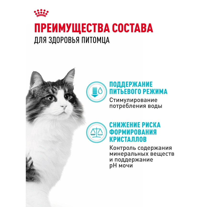 Сухой корм Royal Canin Urinary Care для поддержания здоровья мочевыделительной системы кошек, 4 кг фото 19