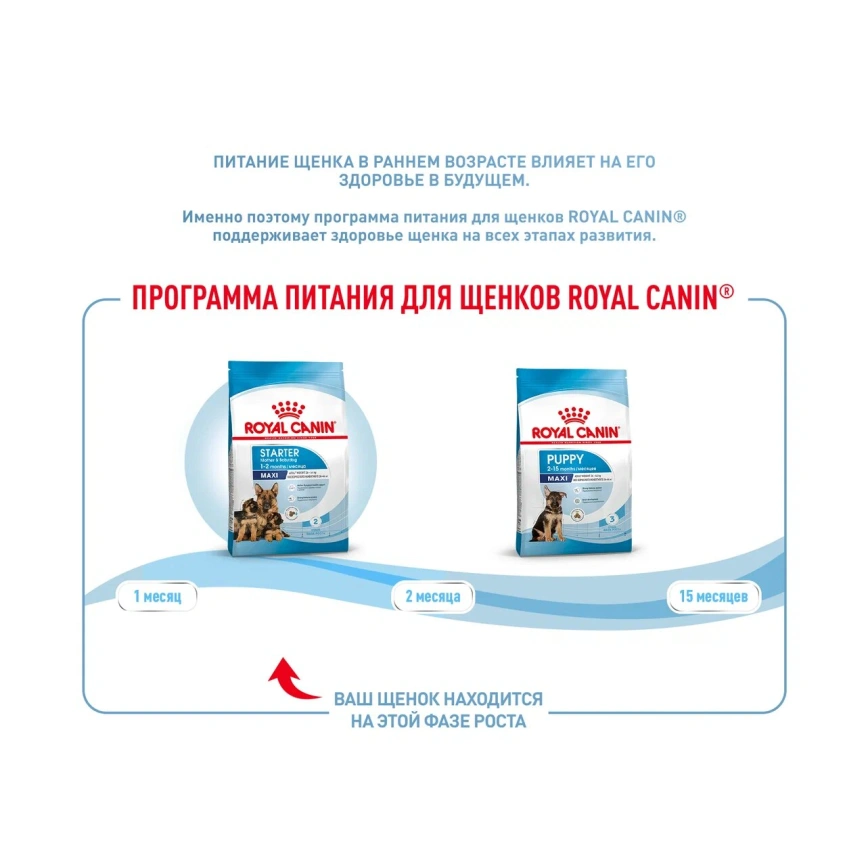 Сухой корм Royal Canin Maxi Starter Mother & Babydog для собак, 15 кг фото 5