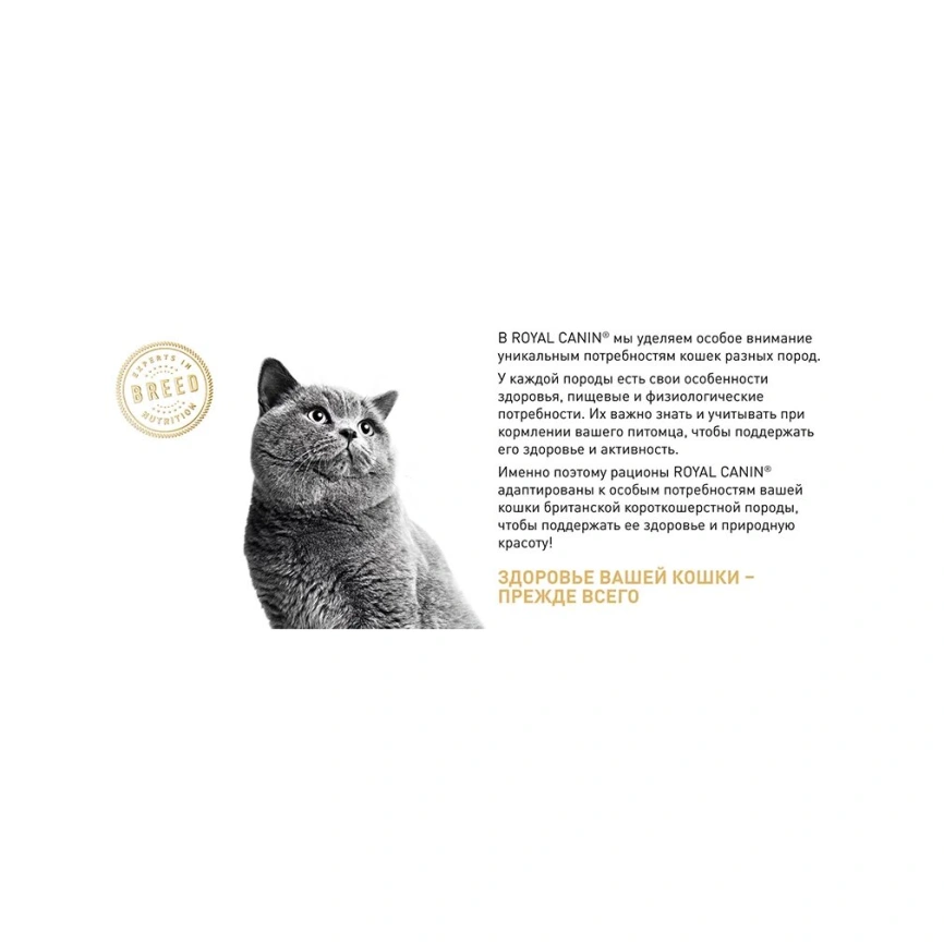 Сухой корм Royal Canin British Shorthair для кошек породы британская короткошерстная, 400 г фото 16