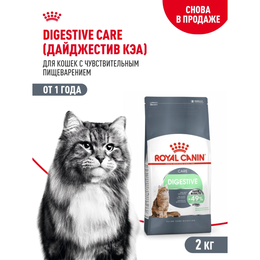 Сухой корм Royal Canin Digestive Care для кошек, 2 кг фото 15