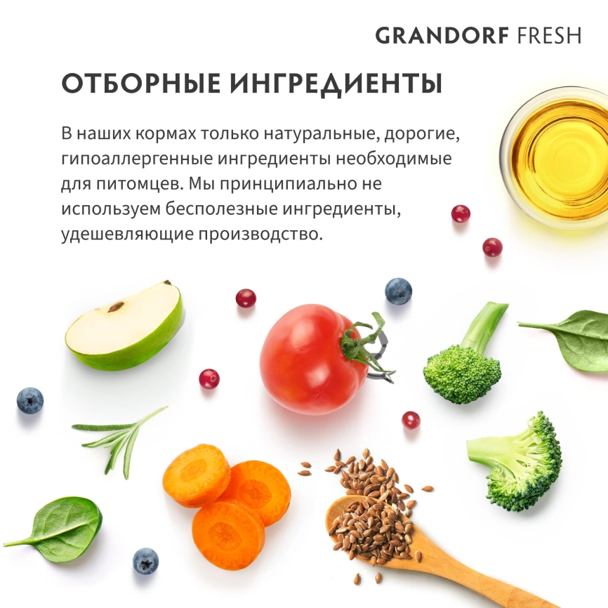 Сухой корм Grandorf Fresh Dog Salmon & Sweet Potato для взрослых собак крупных пород лосось, с бататом, 10 кг фото 7