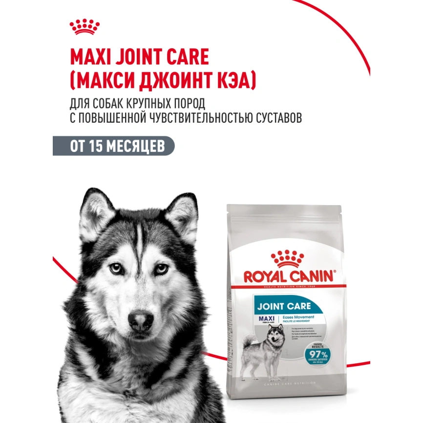 Сухой корм Royal Canin Maxi Joint Care для собак, 10 кг фото 12