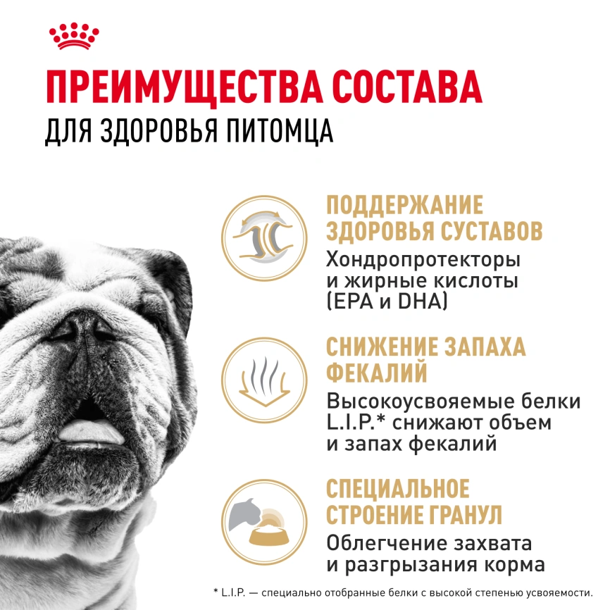 Сухой корм Royal Canin Bulldog Adult для собак породы английский бульдог, 3 кг фото 3