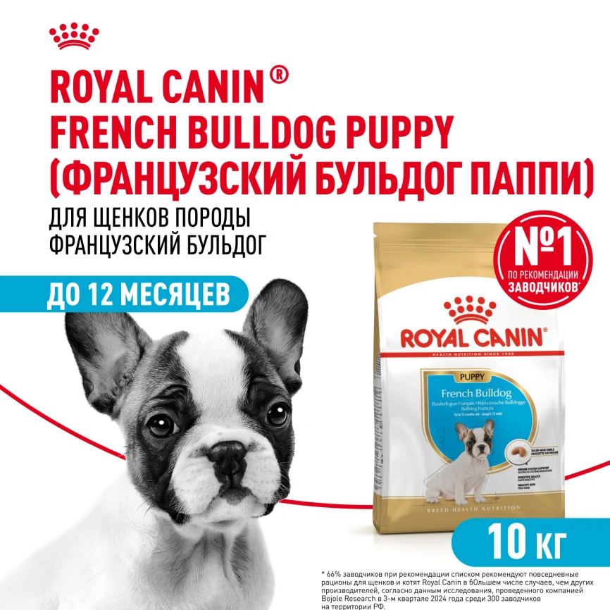 Сухой корм Royal Canin French Bulldog Puppy для щенков, 10 кг фото 1