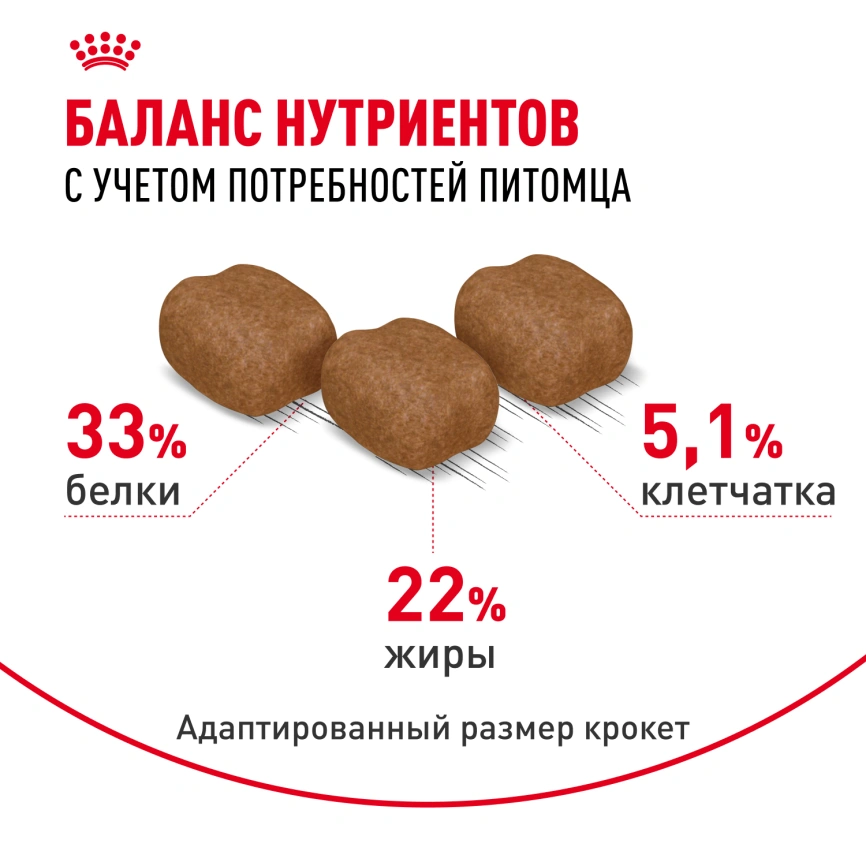 Сухой корм Royal Canin Hair & Skin Care для кошек, 10 кг фото 4
