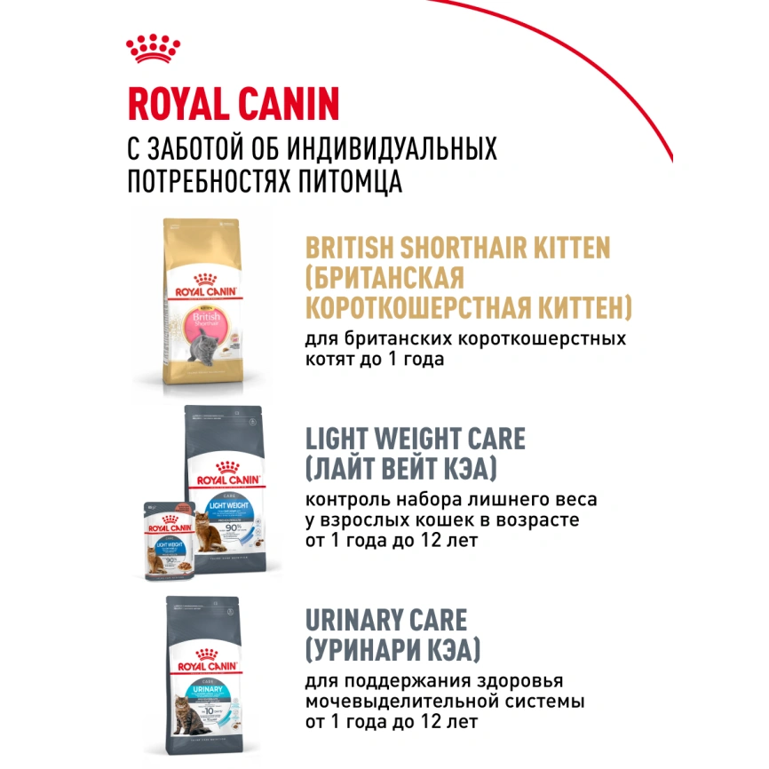 Сухой корм Royal Canin British Shorthair для кошек породы британская короткошерстная, 4 кг фото 27