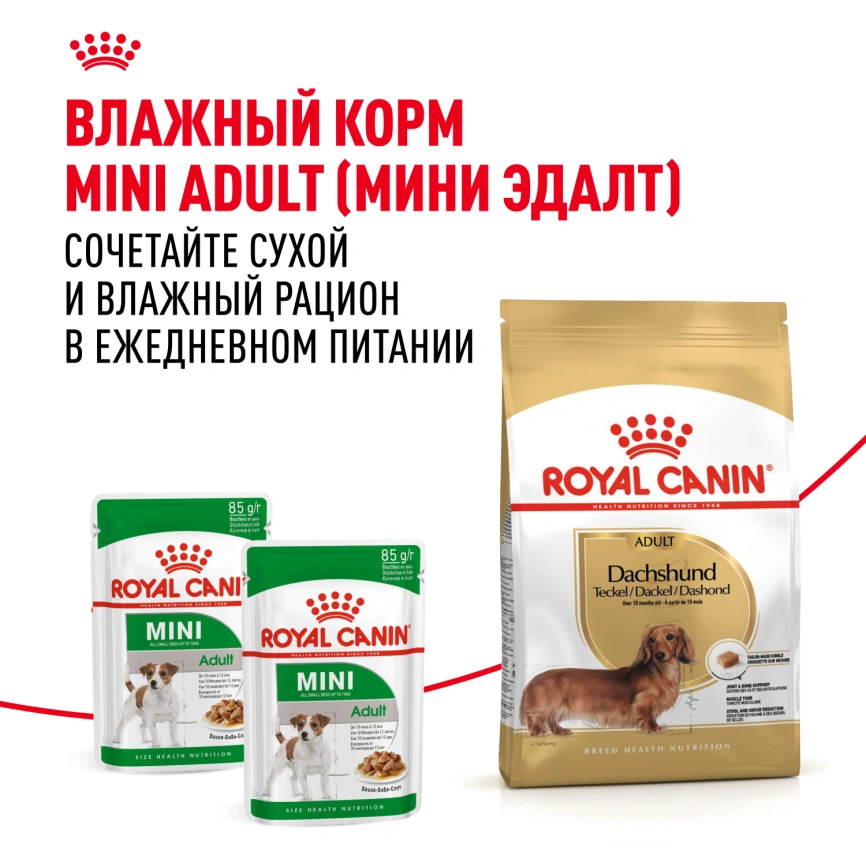 Сухой корм Royal Canin Dachshund Adult для собак породы такса, 1,5 кг фото 8