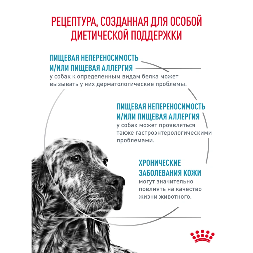 Сухой корм Royal Canin Hypoallergeniс для собак, 14 кг фото 16