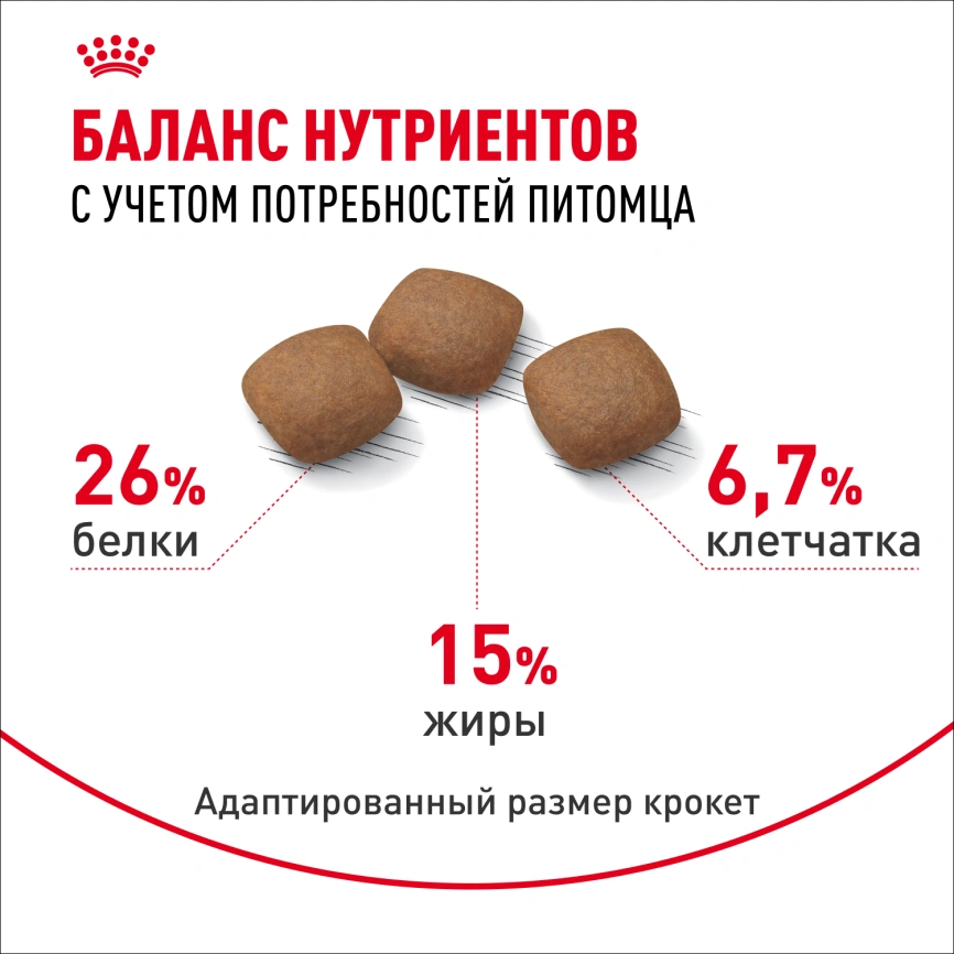 Сухой корм Royal Canin Maxi Joint Care для собак, 10 кг фото 4