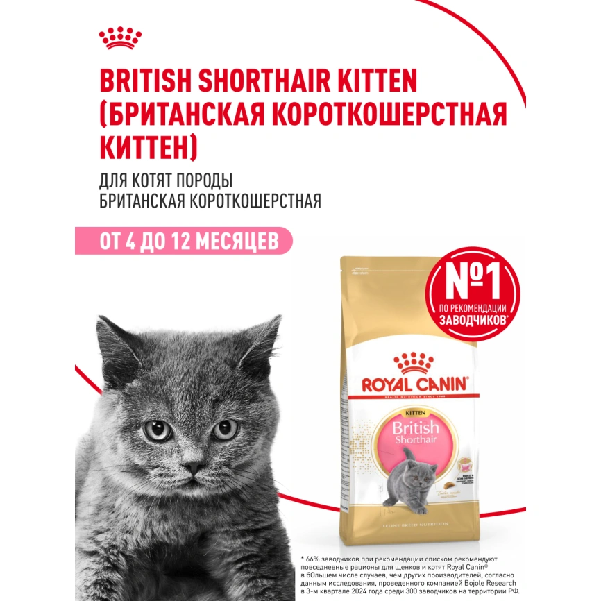 Сухой корм Royal Canin Kitten British Shorthair для котят, 2 кг фото 14