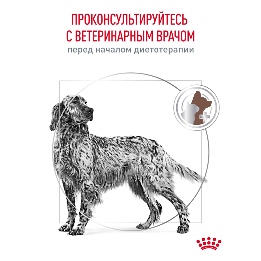 Сухой корм Royal Canin Gastrointestinal для собак, 15 кг фото 21