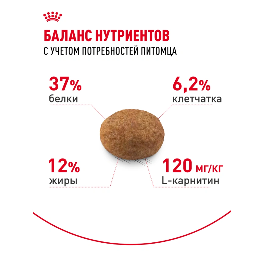 Сухой корм Royal Canin Sterilised для кастрированных котов и стерилизованных кошек, 400 г фото 23