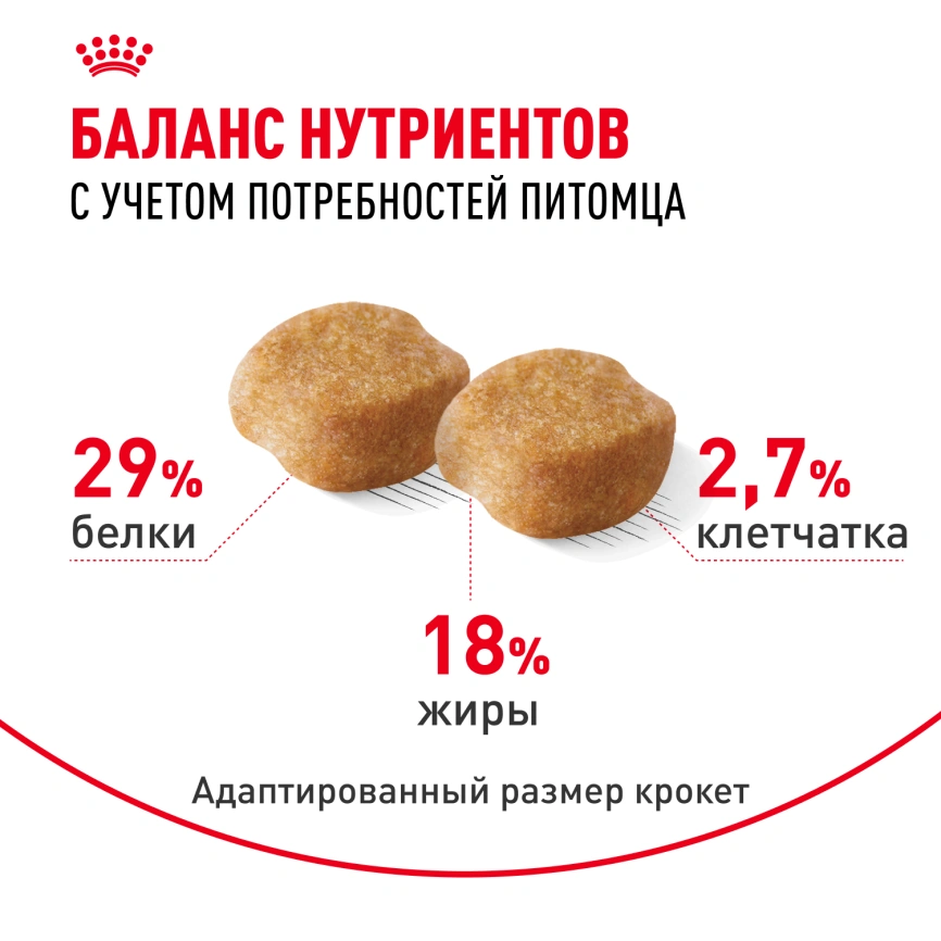 Сухой корм Royal Canin Yorkshire Terrier Adult для взрослых собак, 1,5 кг фото 4