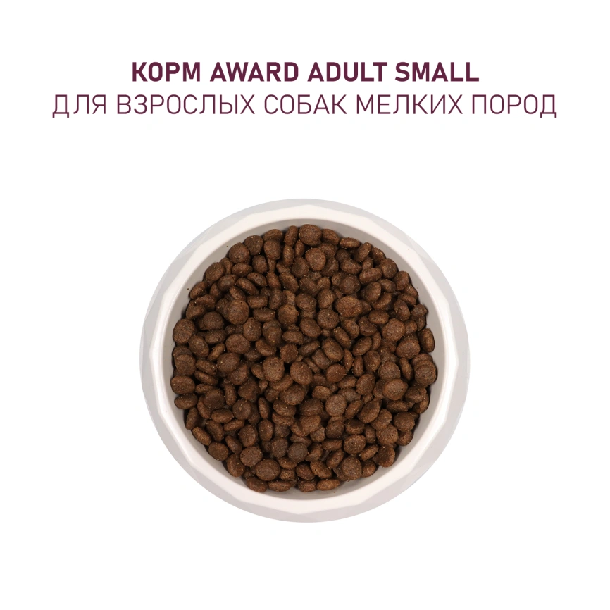 Сухой корм AWARD Turkey & Lamb & Broccoli & Lingonberry для взрослых собак мелких и миниатюрных пород с индейкой, ягненком, брокколи и брусникой, 800 г фото 7