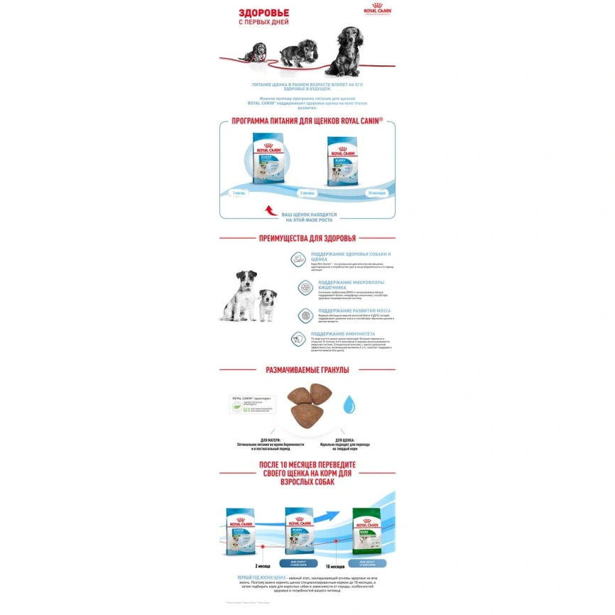 Сухой корм Royal Canin Mini Starter Mother & Babydog для щенков и кормящих сук, 3 кг фото 2