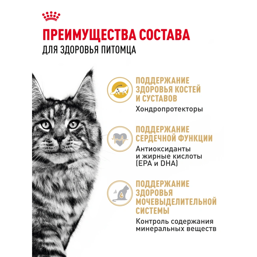 Сухой корм Royal Canin Maine Coon для кошек, 4 кг фото 24