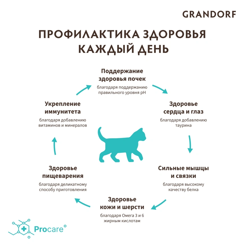 Сухой корм Grandorf Lamb & Turkey Kitten для котят, с ягнёнком и индейкой, 2 кг фото 4