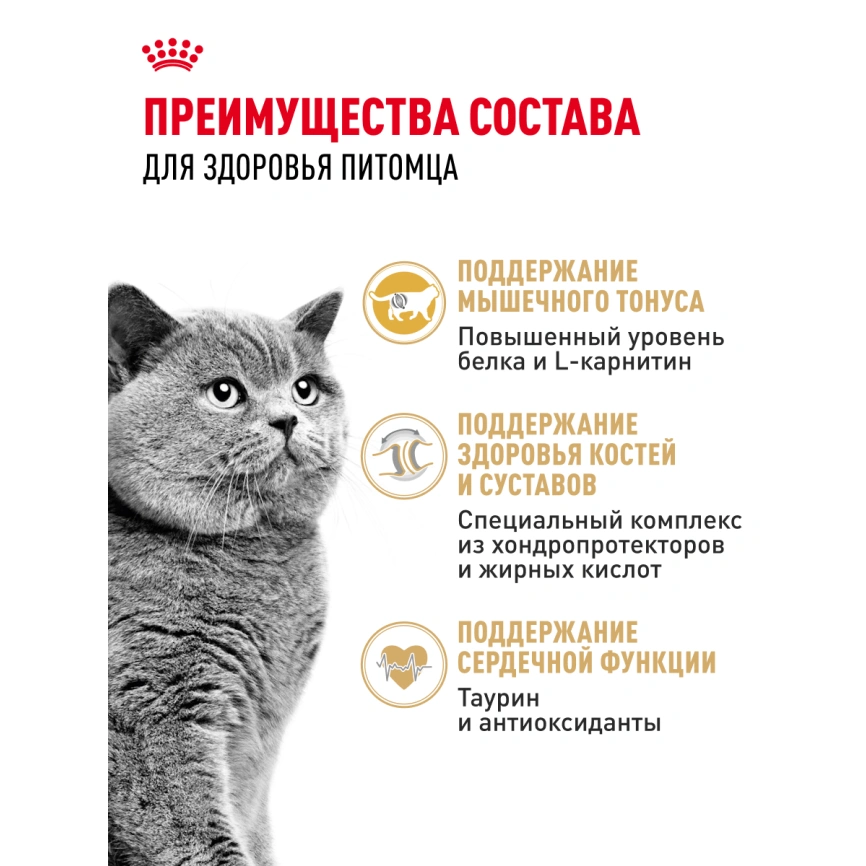 Сухой корм Royal Canin British Shorthair для кошек породы британская короткошерстная, 10 кг фото 30