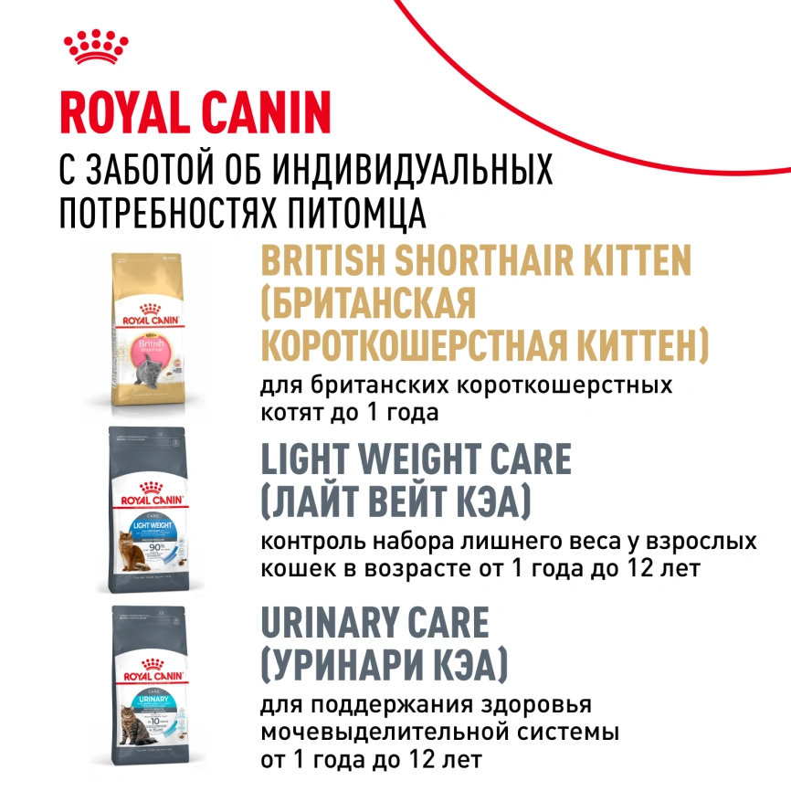 Сухой корм Royal Canin British Shorthair для кошек породы британская короткошерстная, 400 г фото 10