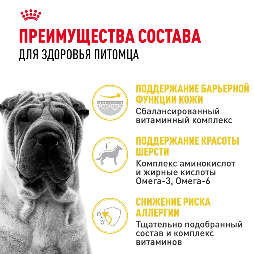 Сухой корм Royal Canin Medium Dermacomfort для собак, 10 кг фото 3