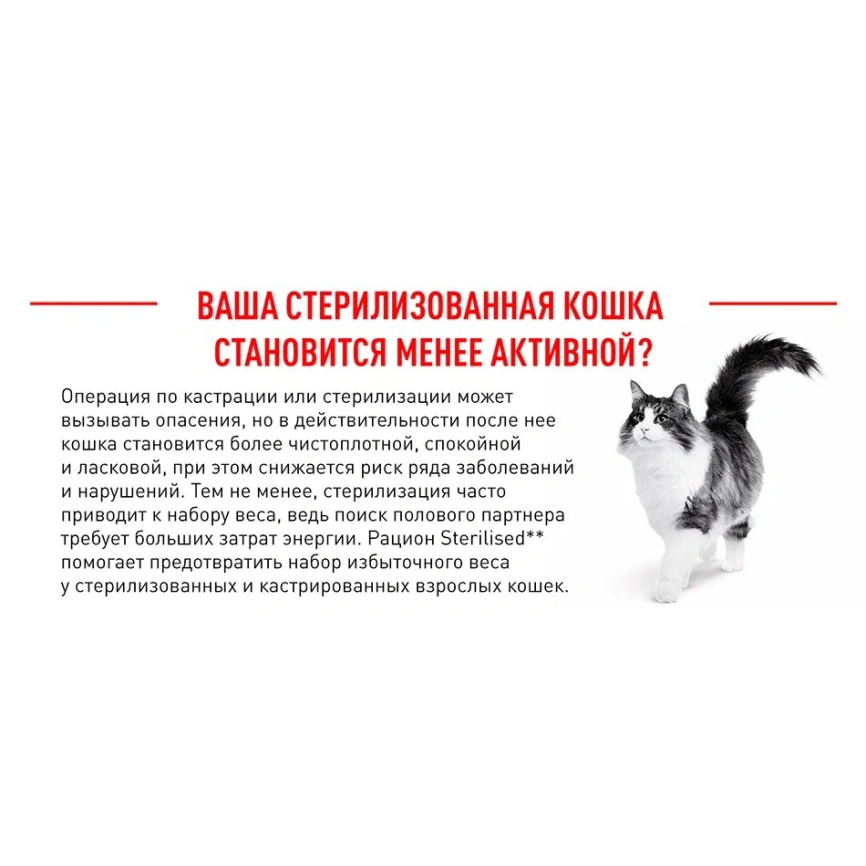Сухой корм Royal Canin Sterilised для кастрированных котов и стерилизованных кошек, 4 кг фото 15