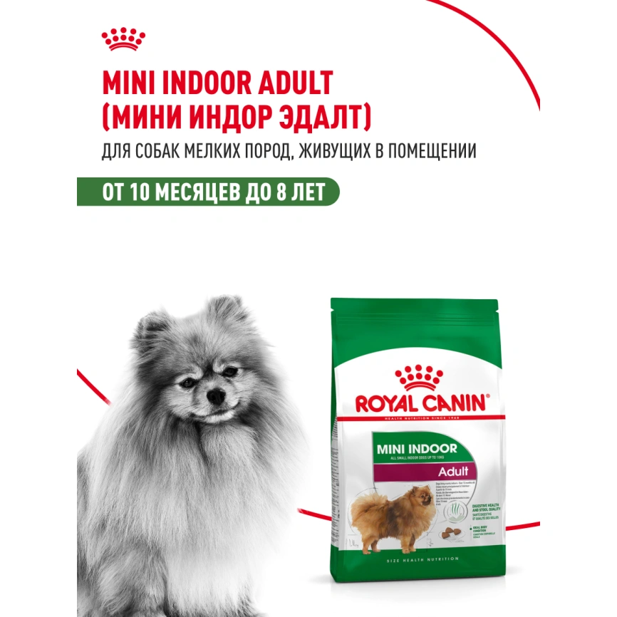 Сухой корм Royal Canin Mini Indoor Adult для собак, 3 кг фото 13